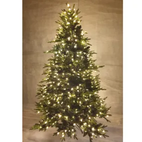 Christmas Tree - 7.5ft - Alberta Prelit With 800 Warm White LEDs