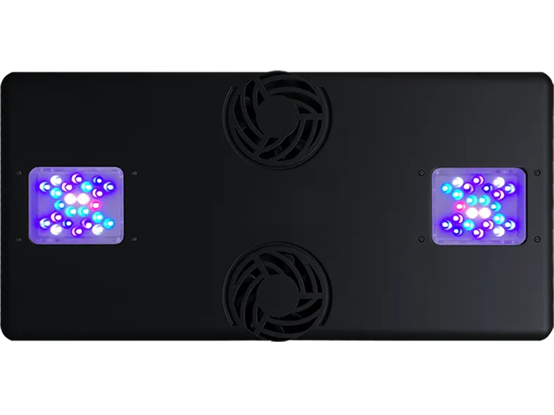 HM ELECTRONICS-Core XC  120W/ Marine