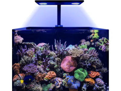 HM ELECTRONICS-Core XC  120W/ Marine