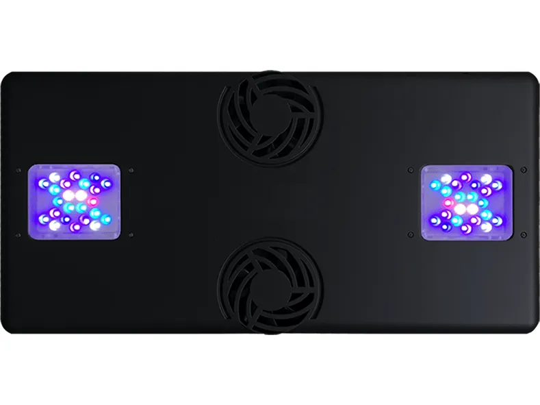 HM ELECTRONICS-Core XP 200W/Marine