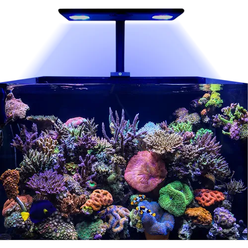 HME Core XP LED (Marine) with Mounting Arm