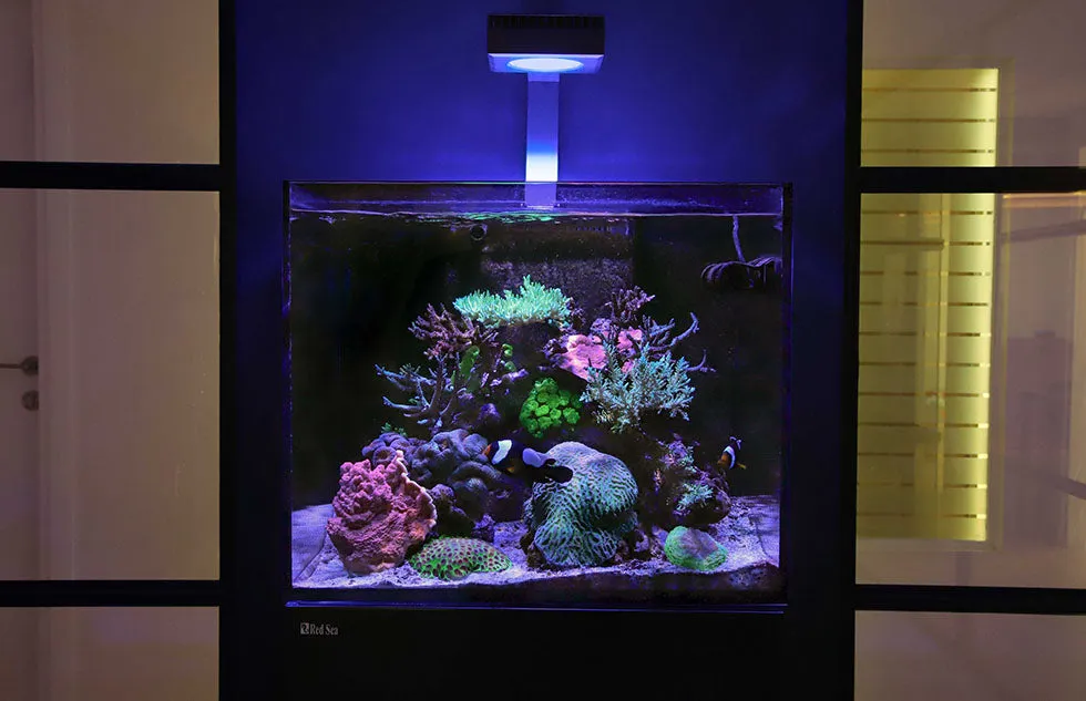 Red Sea ReefLED