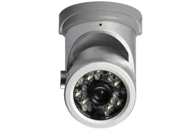 Security Camera with Motion Sensing White Light