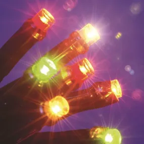 Snowtime LED Chaser Lights - Multi-Colour