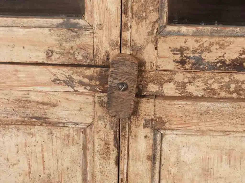 Tall narrow vitrine / armoire - 19th century 87½" x 39"